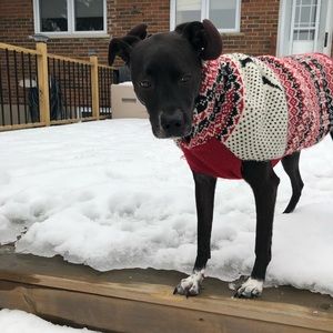 Meet your Posher, Ashlynn